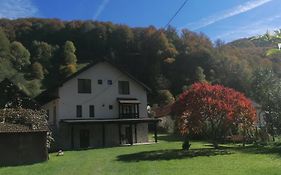 Casa de vacanță Edya